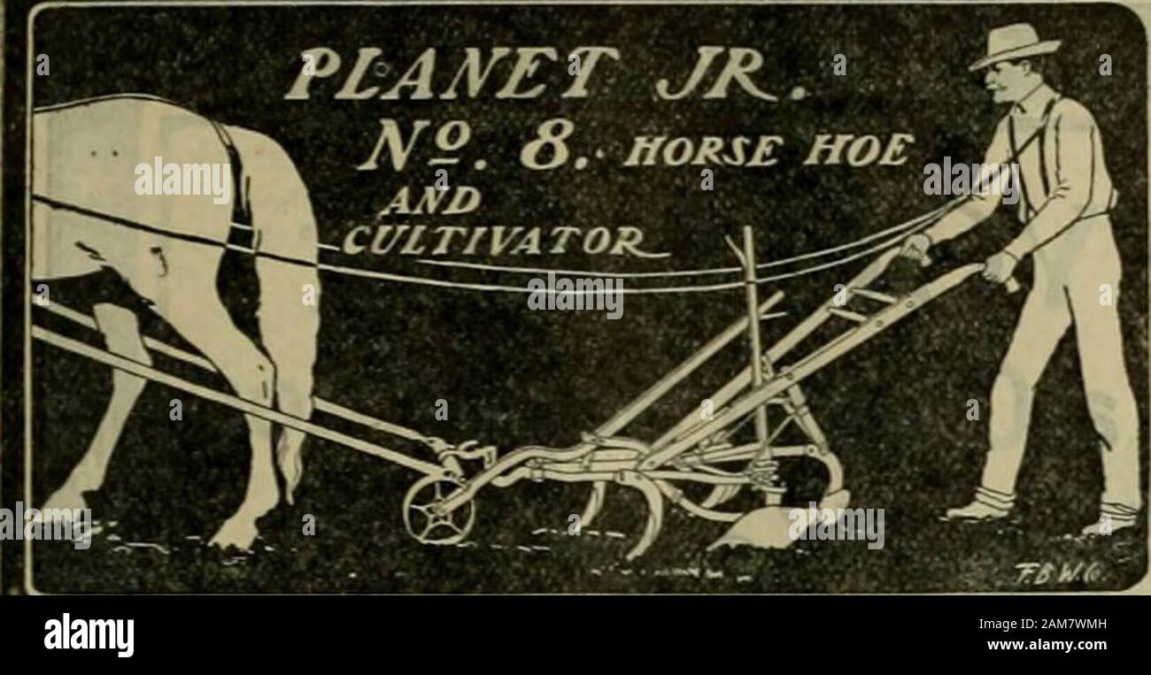 The Southern planter . 5 ** FOR SALE.  Eligible to registration. A few ready for service. J.C.GRAVES, Barboursville, Va. Mark W.Johnson Seed Co., ATLANTA, G-A. Fine selected SEEDS of Acme. Rock) ford, Jenny Lind. and Nutmeg Cantelope, also Rattle-snake. Jones, Kleckleys, Dixie, Early .Market. Sugar and Mclvers Watermelon, mailed at 10c. anoz.; 30c..  lb,; 55c., lb. Pearl Millet, 25c. lb. 12 pkts. assorted Garden Seeds, 45c. Chines*Giant Pepper, 10c pkt. Enormous Tomato, 10c pkt. New snow-white deep grain large earlythoroughbred Corn, 40c, lb. CATALOGUE FREE. When corresponding: with Advertis Stock Photo