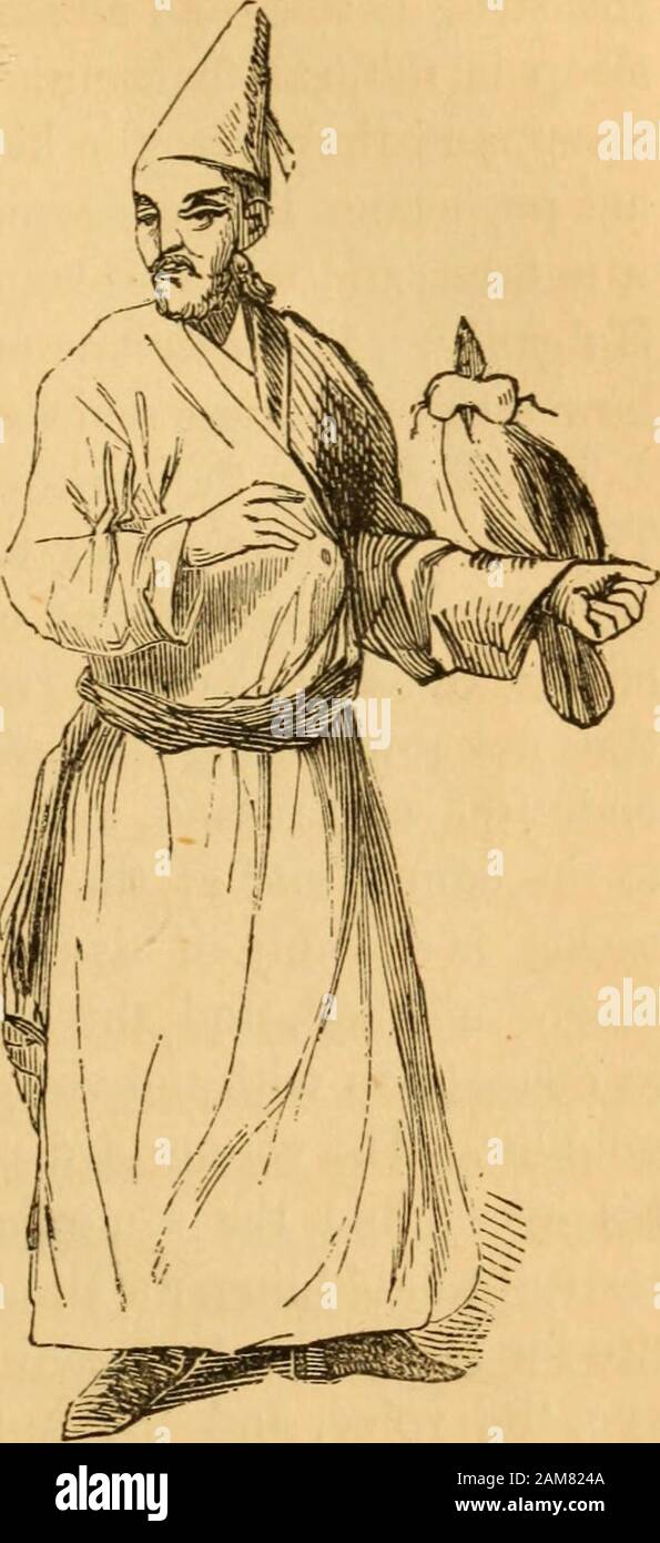 Comparative Physiognomy Or Resemblances Between Men And Animals