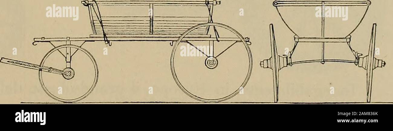 La carrozza nella storia della locomozione . munemente a tre cavalli, in troika. La Droschky Linèiki è una vet-tura, molto frequente in Russia ; le sue ruote sono ora munite dipneumatici ; ha forme eleganti ; e recentemente, per la grande gene-ralizzazione del suo uso, lauto- ^S^ rità municipaledi Pietroburgoha dato ordineche tutte le vet-ture di questo tipo debbano essere munite di mantice o soffietto, evidentemente per difendere i viaggiatori ili* dagl infangamenti inverosi-mili, giacché in Russia levetture a ruote comincianoa funzionare quando co-mincia il disgelo, e allora non è il fango q Stock Photo