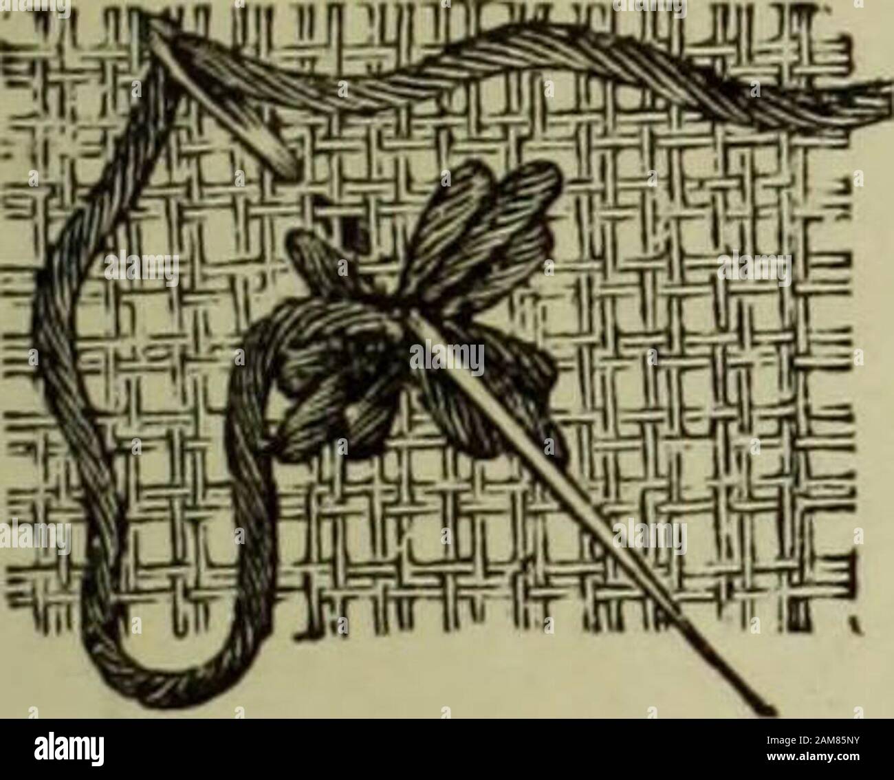 Various fancy surface stitches hires stock photography and images Alamy