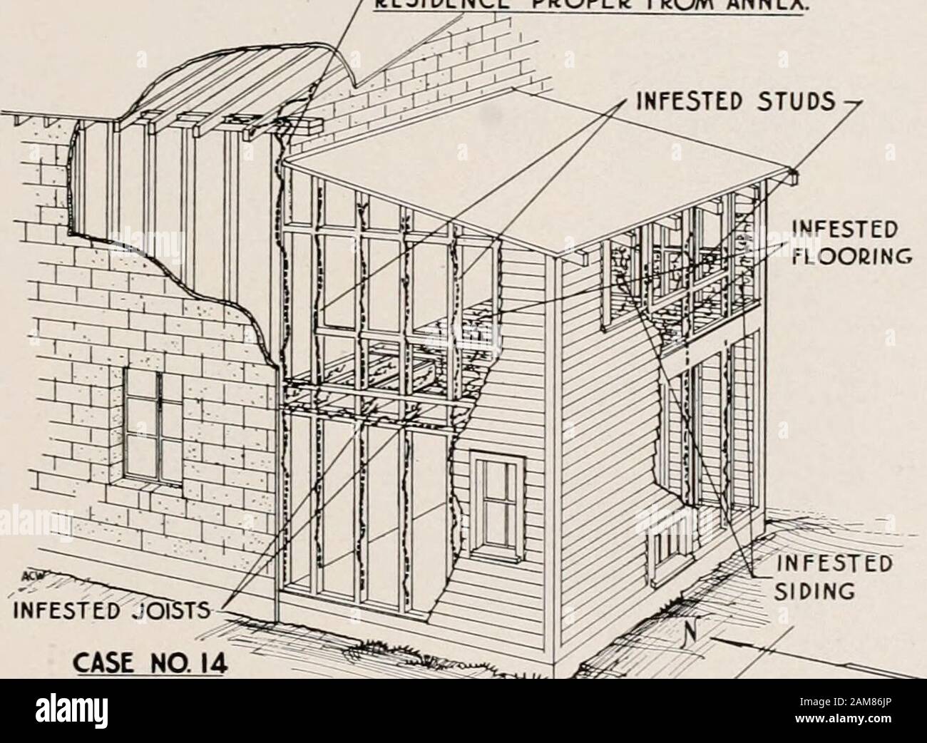 Termite Nests Repair Termite Damage