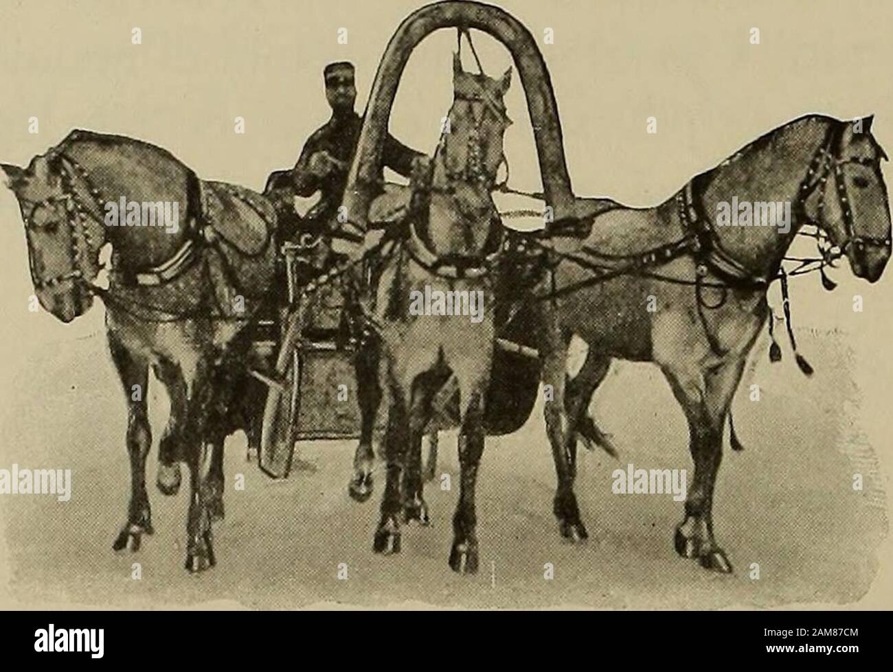 La Carrozza Nella Storia Della Locomozione O Lasciar Continuare Un Simile Stato Di Cose E Opponendosi