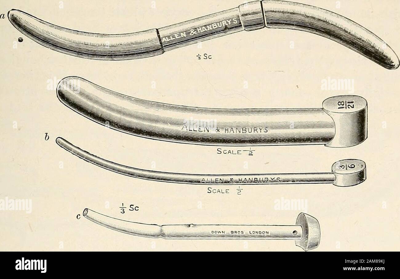 Gynaecology for students and practitioners . Fig. 464. Volsella Forceps