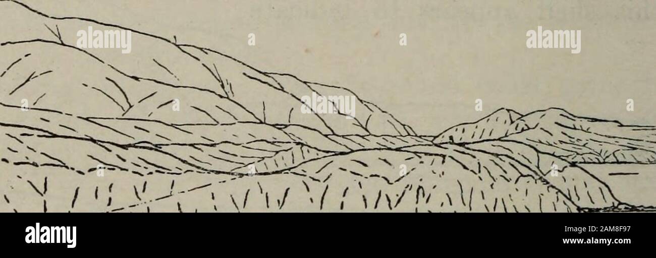 Transactions of the Royal Society of New Zealand . not be expected to yield a per-fectly horizontal crest. It ought to show a convex crest opposite tobluffs, where the old coast approaches it, and a concave outline oppositebays, where the old coast recedes. To this initial irregularity there maybe added slight variations in the amount of subsequent uplift. Kem-nants of this terrace extend nearly to Cape Terawhiti, and it may beseen also at Te Kaminaru Bay, on the western coast. There exists also a higher shelf, which was examined at TonguePoint. It may be seen in fig. 7. Its height is about 45 Stock Photo