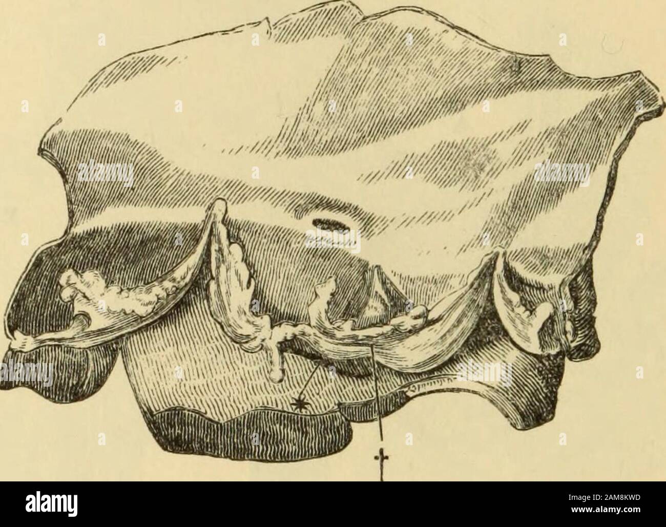 Thirty Two Valve High Resolution Stock Photography and Images Alamy