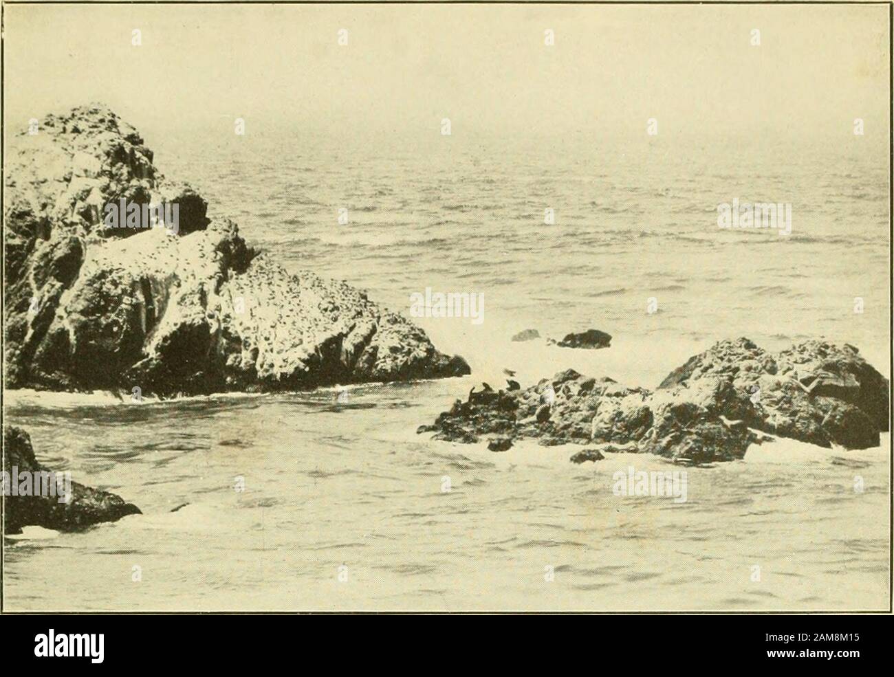 Report of the Commissioner - United States Commission of Fish and Fisheries  . r North Point, Isle au Haut.. Outer Bass Harbor near Scoobic Island Casco  Bay, Maine: Diamond Cove west side