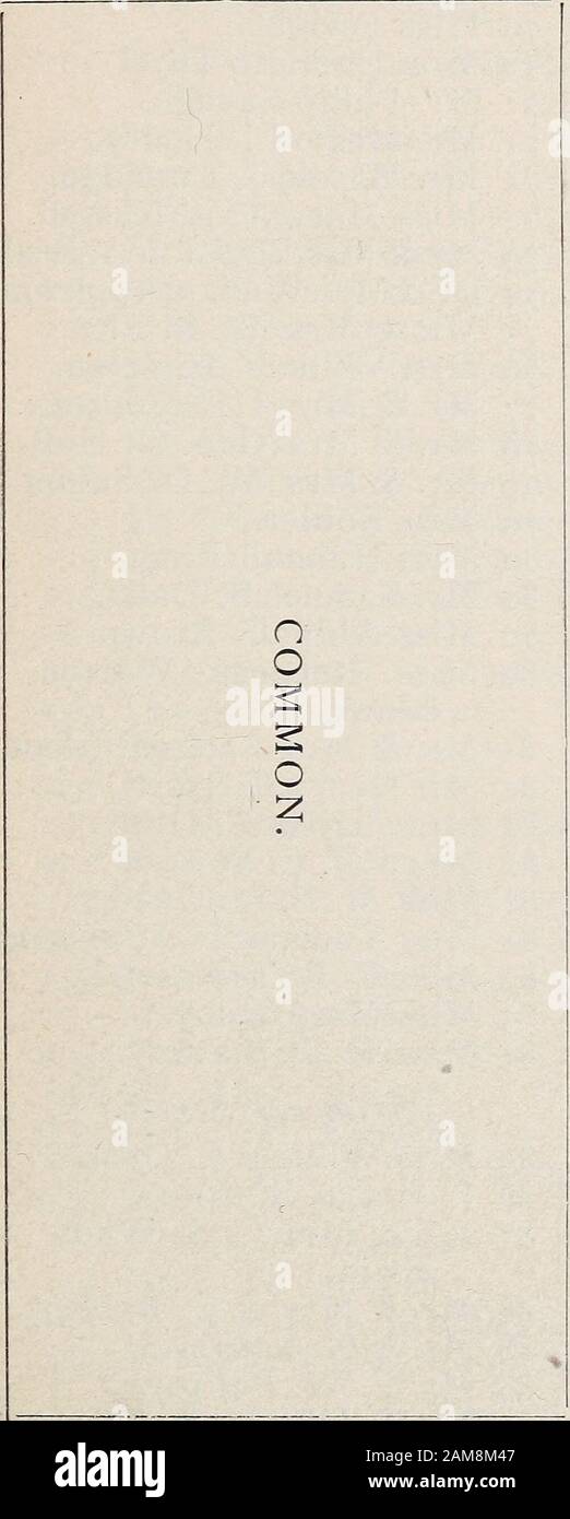 The Boston blue book ..: containing ..Boston, Brookline, Cambridge, Chestnut Hill and Milton .. . FERNEKEES. WEST END. 33 Beacon St.—continued.. 42 & 43 Somerset Club. 44 Miss Mary A. Tappan. 45 Mr. Edward Austin. 46 Jordan. 47 Mrs. Martin Brimmer. {Spruce Street) 50 Puritan Club. 5 [ Mr. & Mrs. F. R. Sears. 51 Mr. Philip S. Sears. 53 The Misses Walker. 54 Mr. & Mrs. George von L. Meyer. 55 Mr. F. G. Dexter.55 Mr. Gordon Dexter. 57 Mrs. George N. Black. 57 Mr. G. N. Black. 58 Dr. & Mrs. J. C. Warren. 59 The Misses Holmes. 59 Mr. Henry J. Thayer. 60 Dr. W. S. Bigelow. 61 Mrs. E. B. Bryant.63 Mr Stock Photo