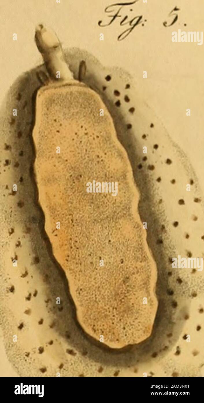 Page 180 O N B High Resolution Stock Photography And Images Alamy