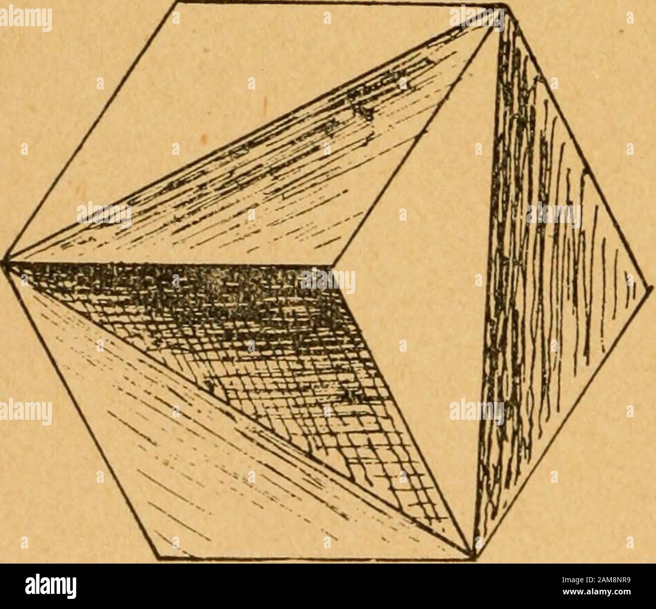Construction work in cardboard and paper for grades I to IV, without the use of tools; with a course in woodwork for the fifth grade . on the adjoining branchyy y,y, y,and bind the construction by the return of the small tri-angles. A triangle having three equal sides is formed atthe center of the square. Materials.—Nos. 25 and 26. The cube is made and it is only necessary to pinch thecorners to make it firm. u*c r -  V^ r1 l /? | /  /    / i 1 0 / o s M y/C / 1 1 1 56. Stock Photo