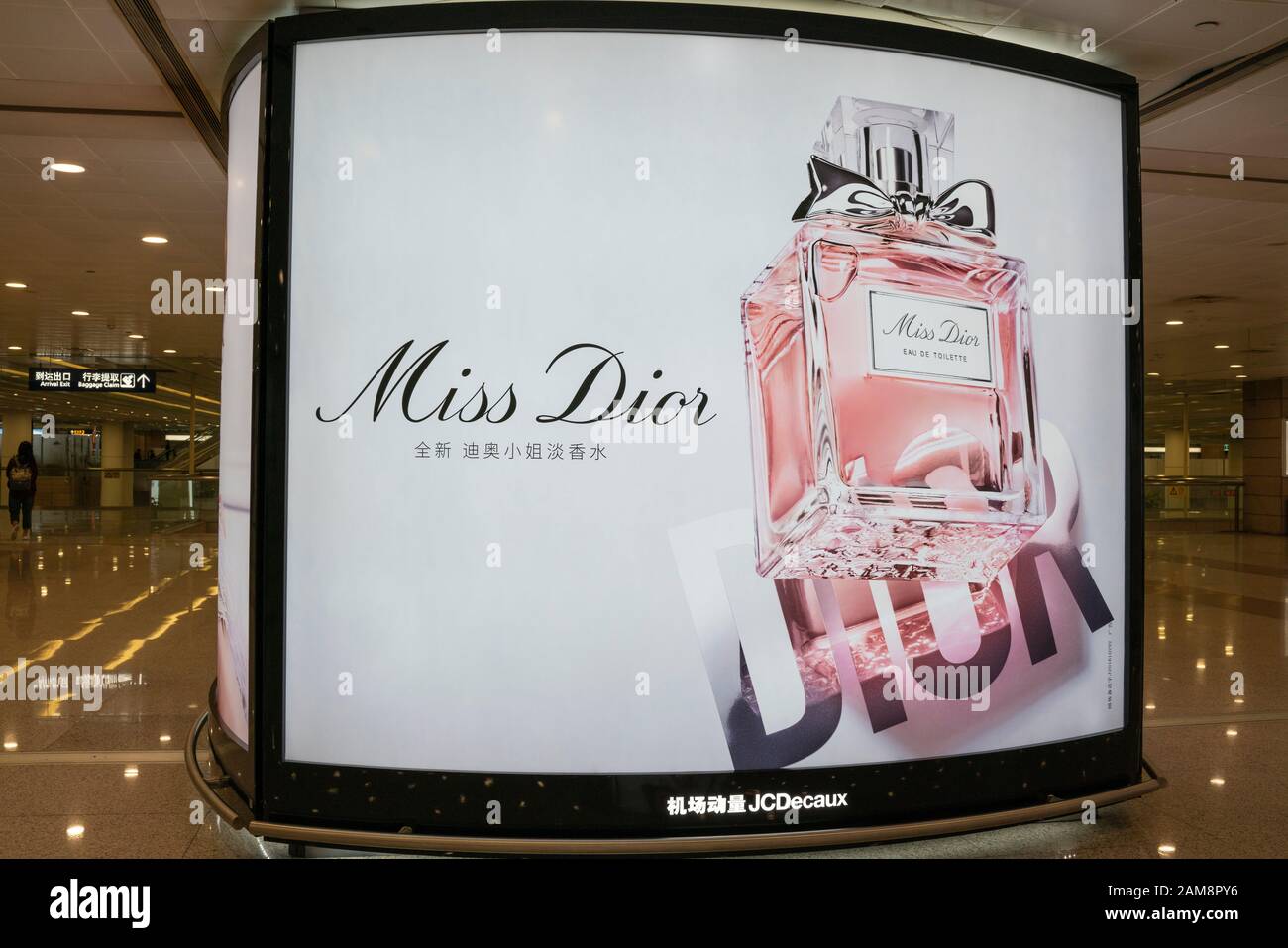 2021 Dior Handbag Poster