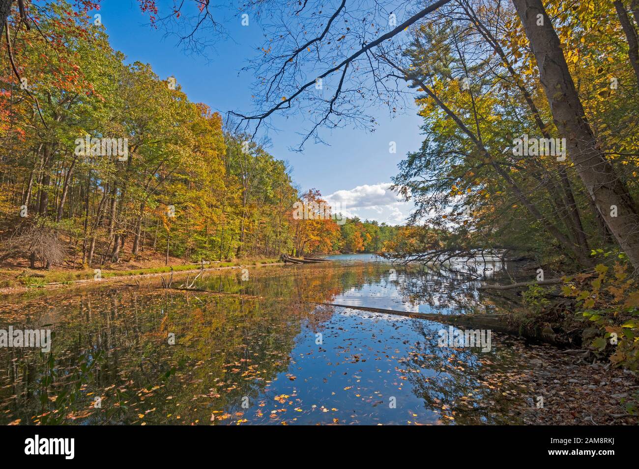 Shade, Shadows, and Reflections on a Fall Lake in Chenango Valeey State