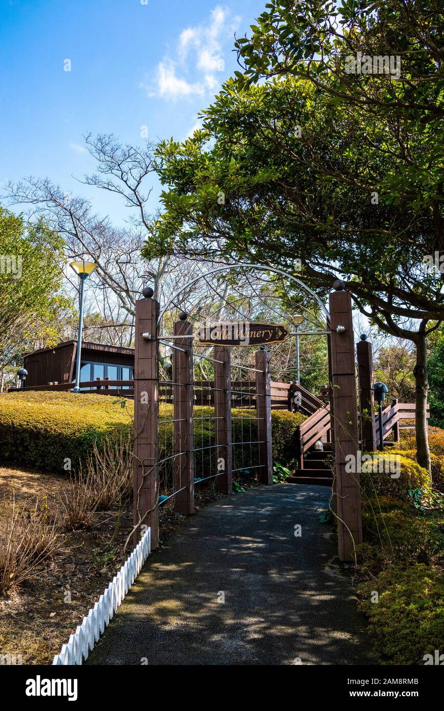 Jeju, Korea, 6th, March, 2019. The path leads to the Olle Winery in Lotte Hotel Jeju. Stock Photo