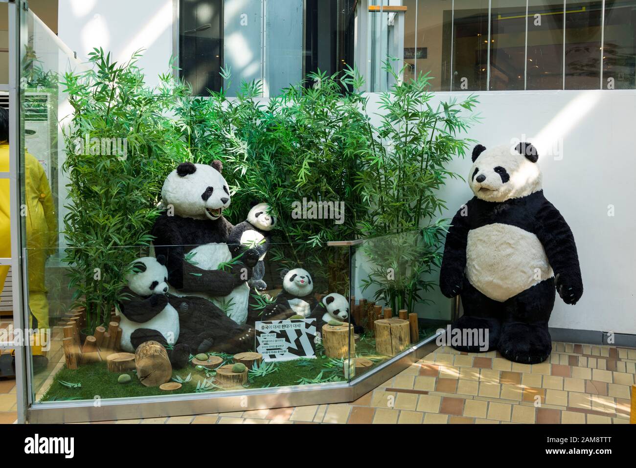 Jeju Teddy Bear Museum editorial stock photo. Image of wonderful - 16044093