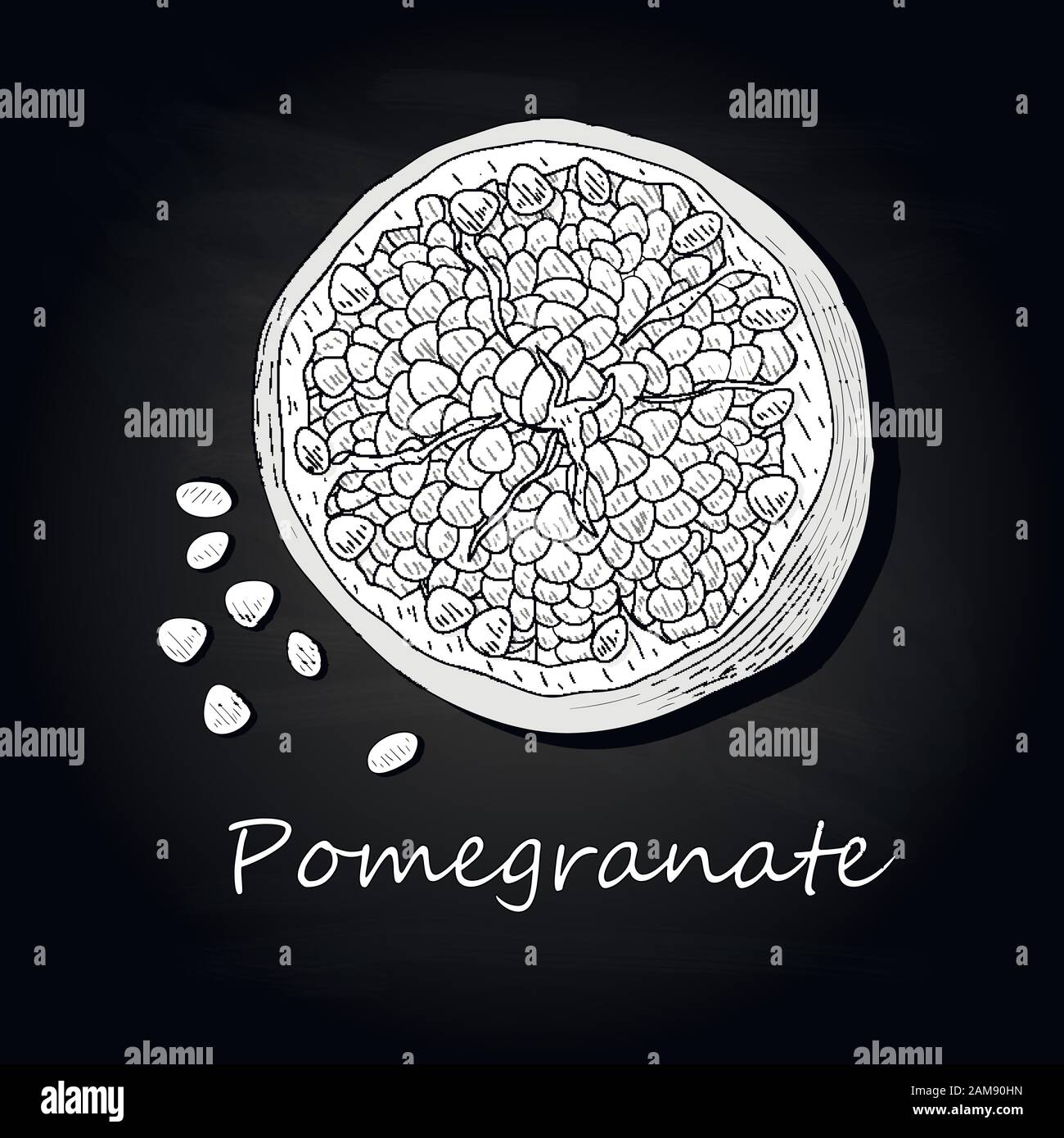Pomegranate hand drown vector illustration isolated on black background. Monochrome. Stock Vector