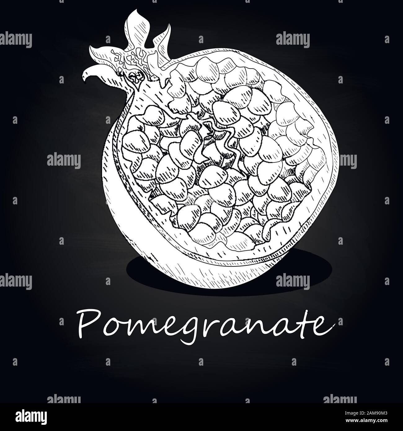 Pomegranate hand drown vector illustration isolated on black background. Monochrome. Stock Vector