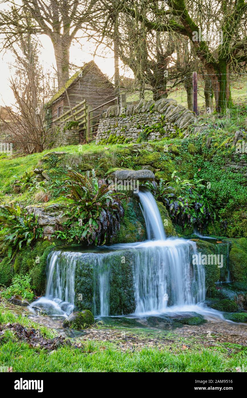 The stone crocodile spring water spout in the cotswold village of