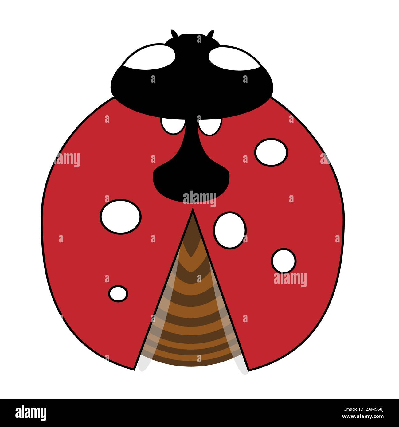 Lady-bird or ladybug isolated on light white background. Red insect ...