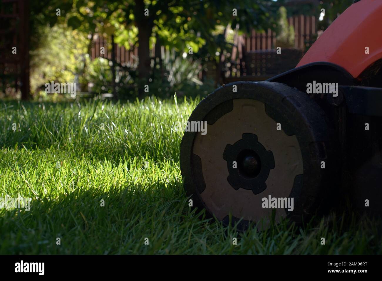 mowing the lawn in full sun Stock Photo
