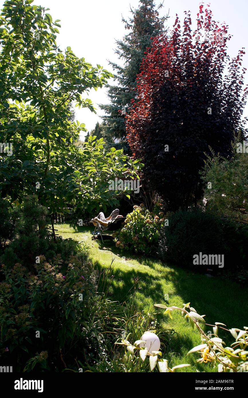 Wood summer lawn hi-res stock photography and images - Alamy