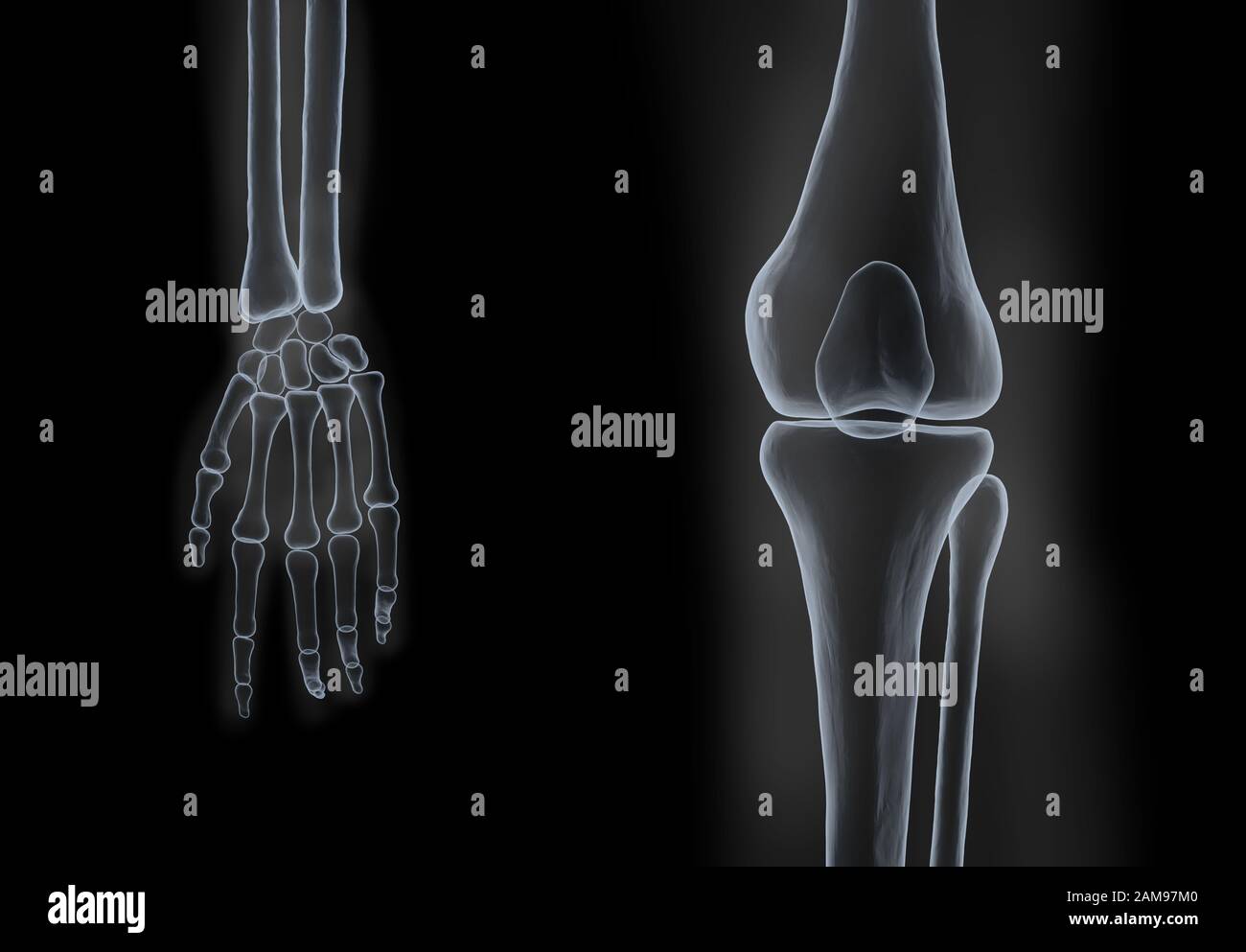 3d rendering human hand and knee bones x-ray film on black background ...