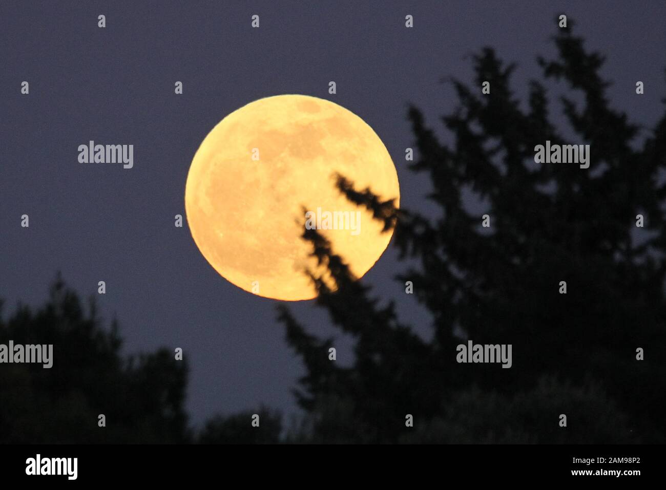 The First Full Moon Of 2020 Also Known As The Wolf Moon Coincides With A Lunar Eclipse Stock Photo Alamy