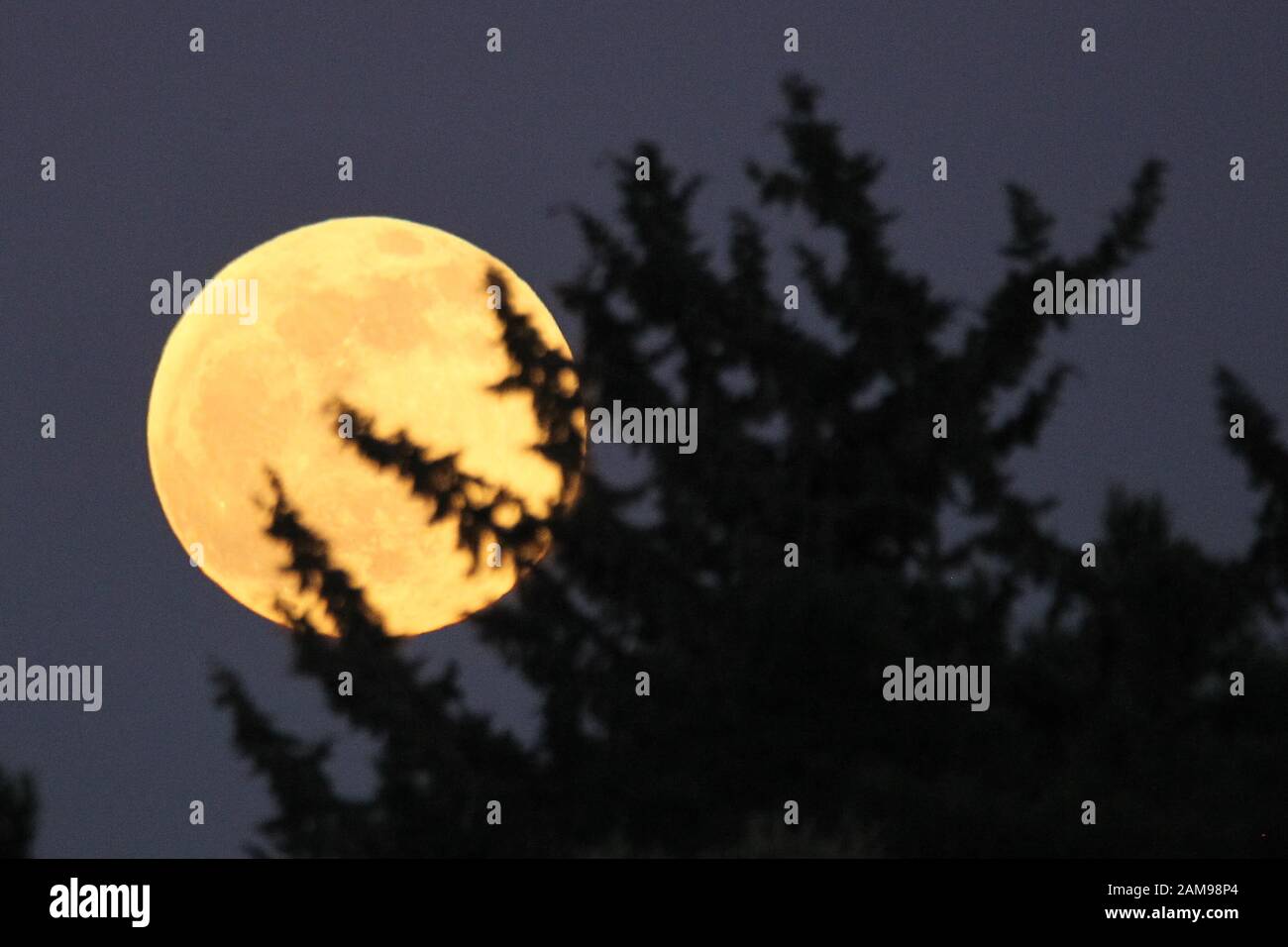The First Full Moon Of 2020 Also Known As The Wolf Moon Coincides With A Lunar Eclipse Stock Photo Alamy