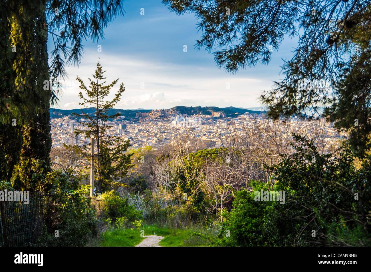 View of Barcelona from a tree tunnel Stock Photo
