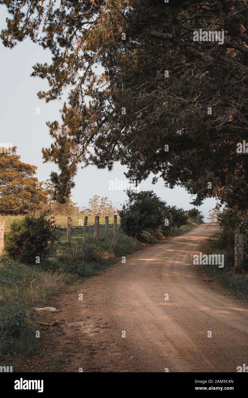 Looking down a dirt gravel road next to a farm near Comboyne, New South Wales. Note: Location is approximate. Stock Photo