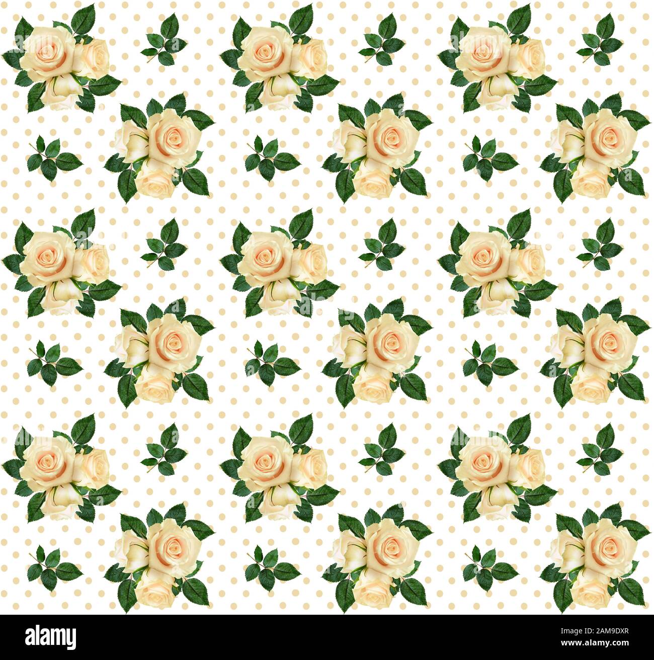 Seamless pattern with roses on polka dotted background Stock Photo