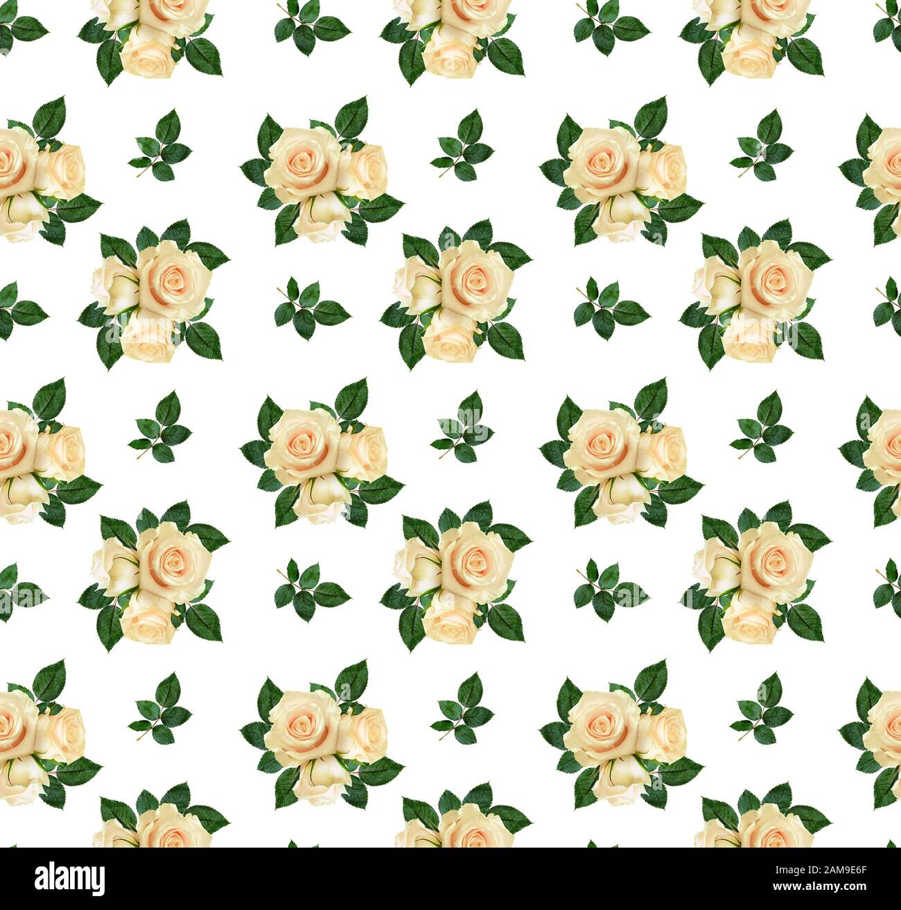 Rose seamless hi-res stock photography and images - Alamy