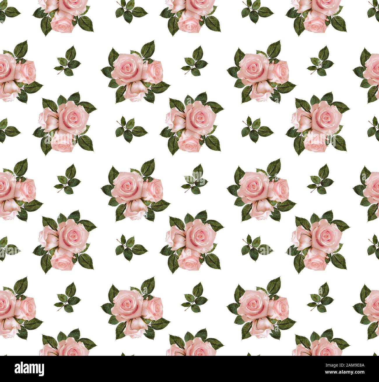 Seamless pattern with rose flowers on white background Stock Photo - Alamy