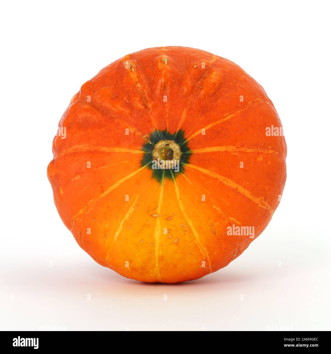 Pumpkin autumn vegetable isolated on white background Stock Photo