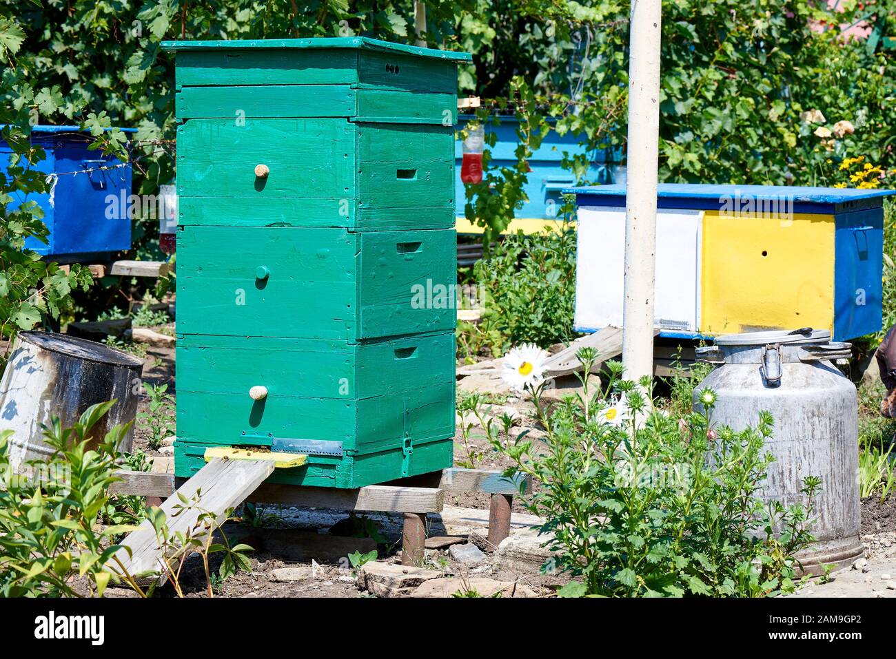 Beehive honey bees hi-res stock photography and images - Alamy