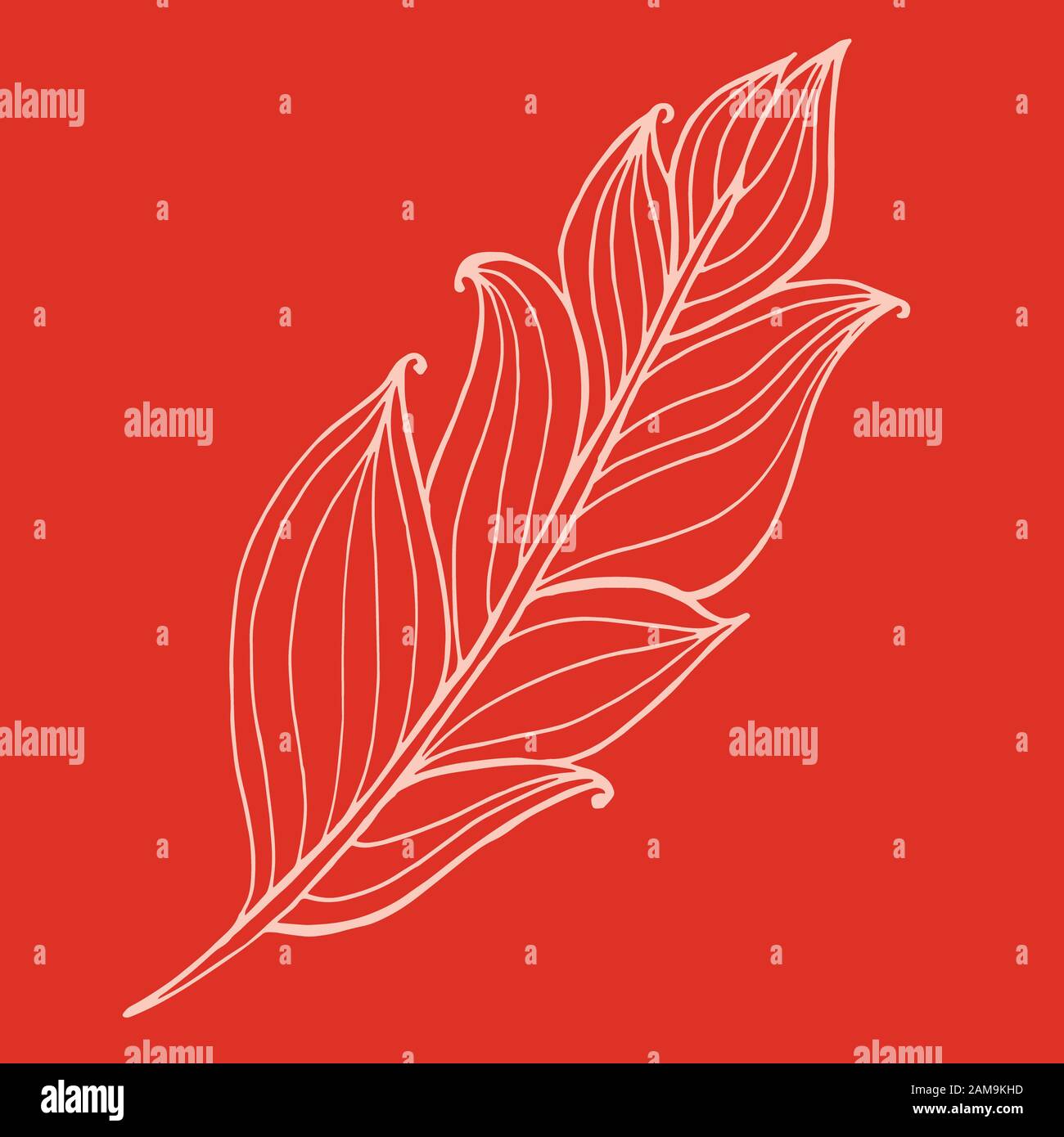 Hand drawn doodle zentangle feather isolated from background. Black ...