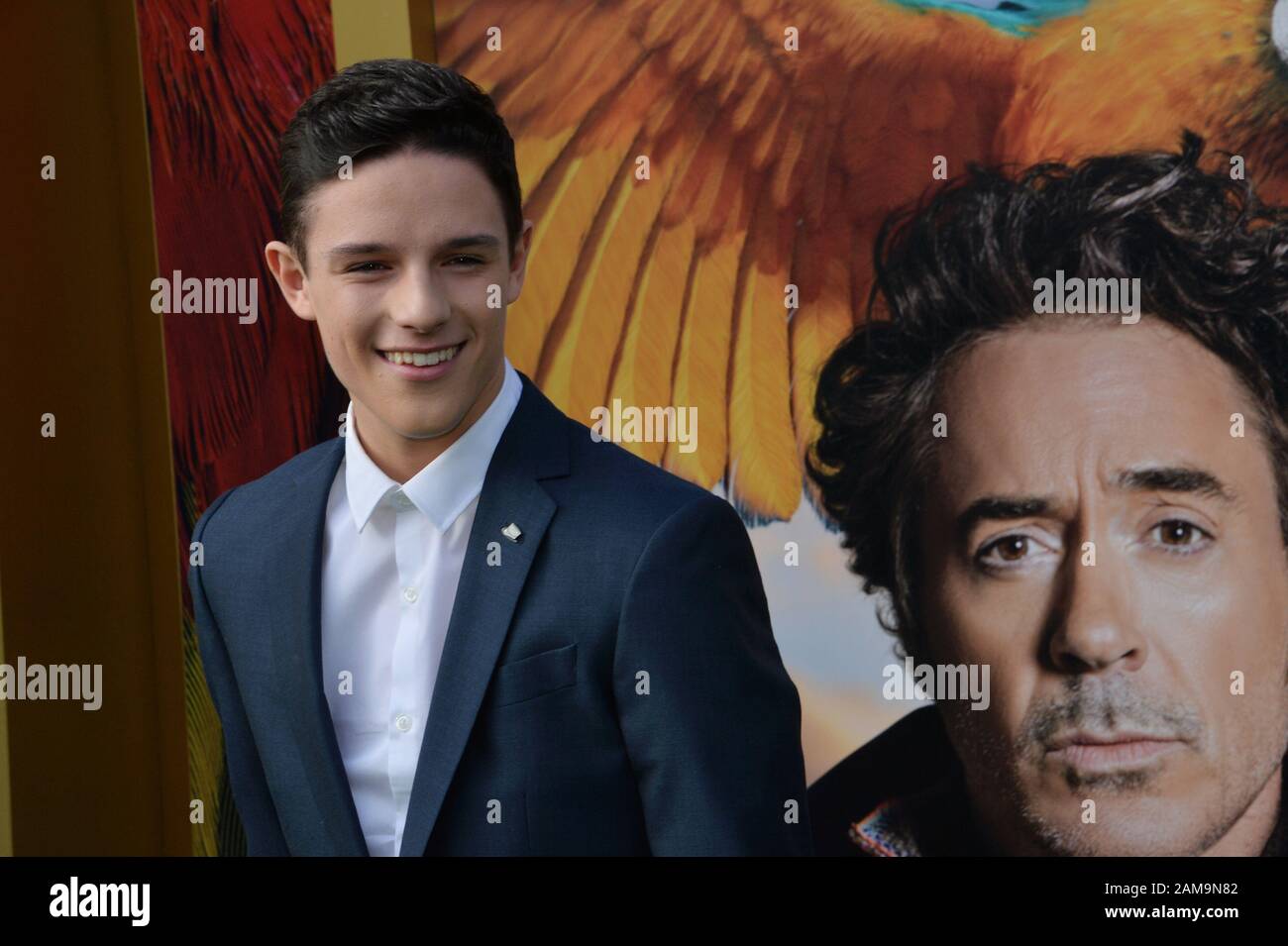 Los Angeles, United States. 12th Jan, 2020. Cast member Harry Collett attends the premiere of the motion picture comedy 'Dolittle' at the Regency Village Theatre in the Westwood section of Los Angeles on Saturday, January 11, 2020. Storyline: A physician discovers that he can talk to animals. Photo by Jim Ruymen/UPI. Credit: UPI/Alamy Live News Stock Photo