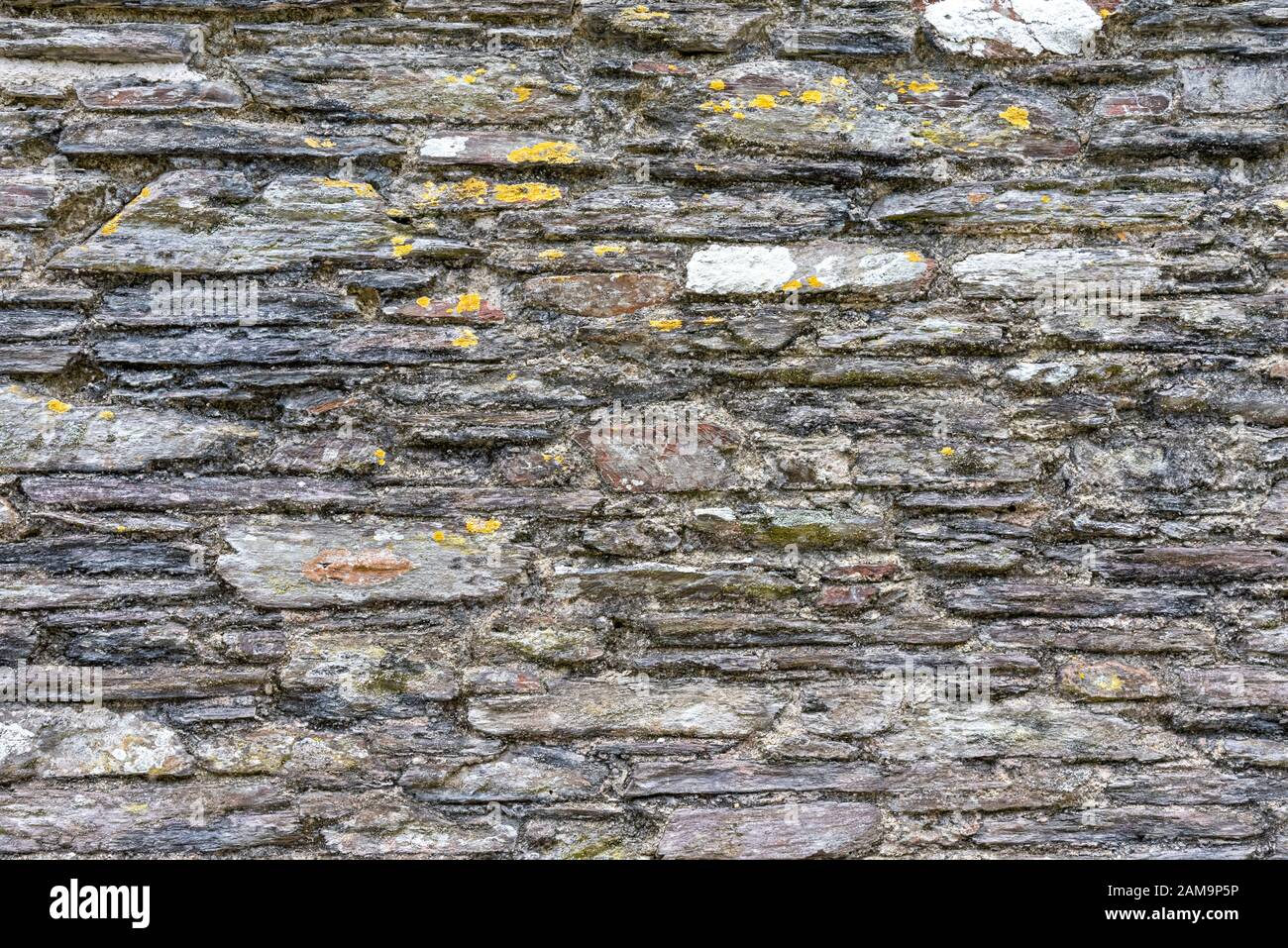 Cornish slate wall, Cornwall, UK Stock Photo