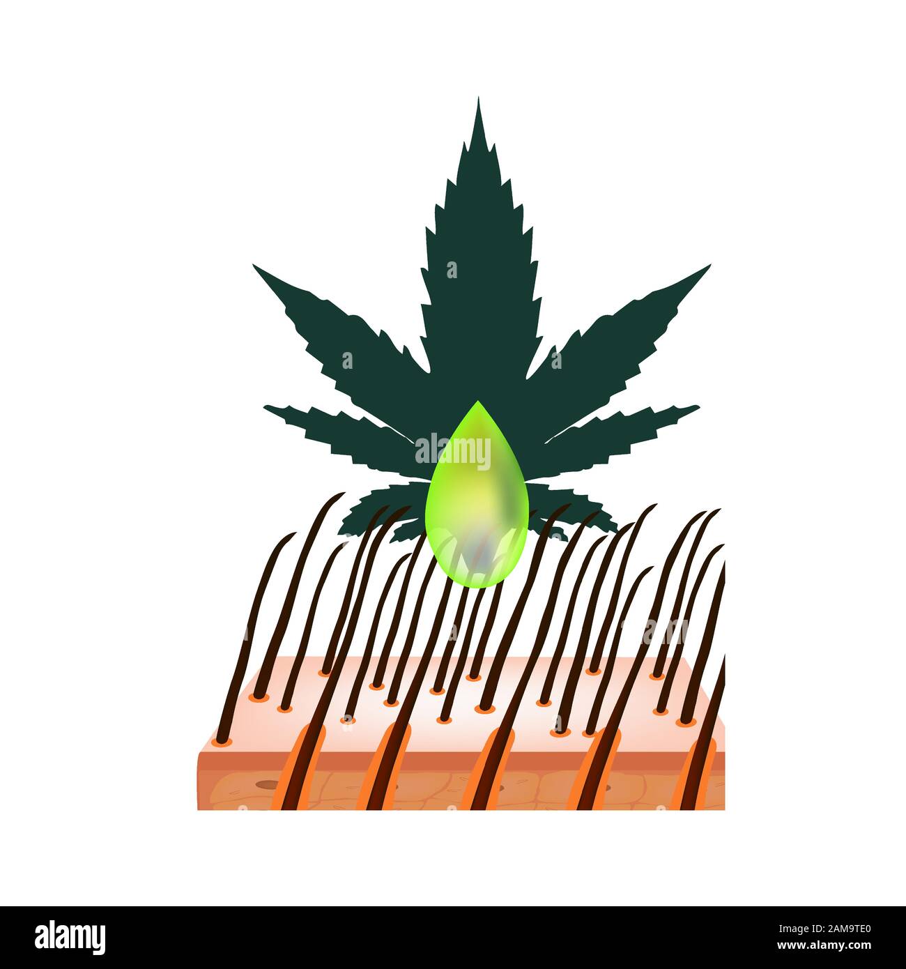 The Benefits of Hemp Hair Oil. Marijuana icons cbd. Cannabinoid logo