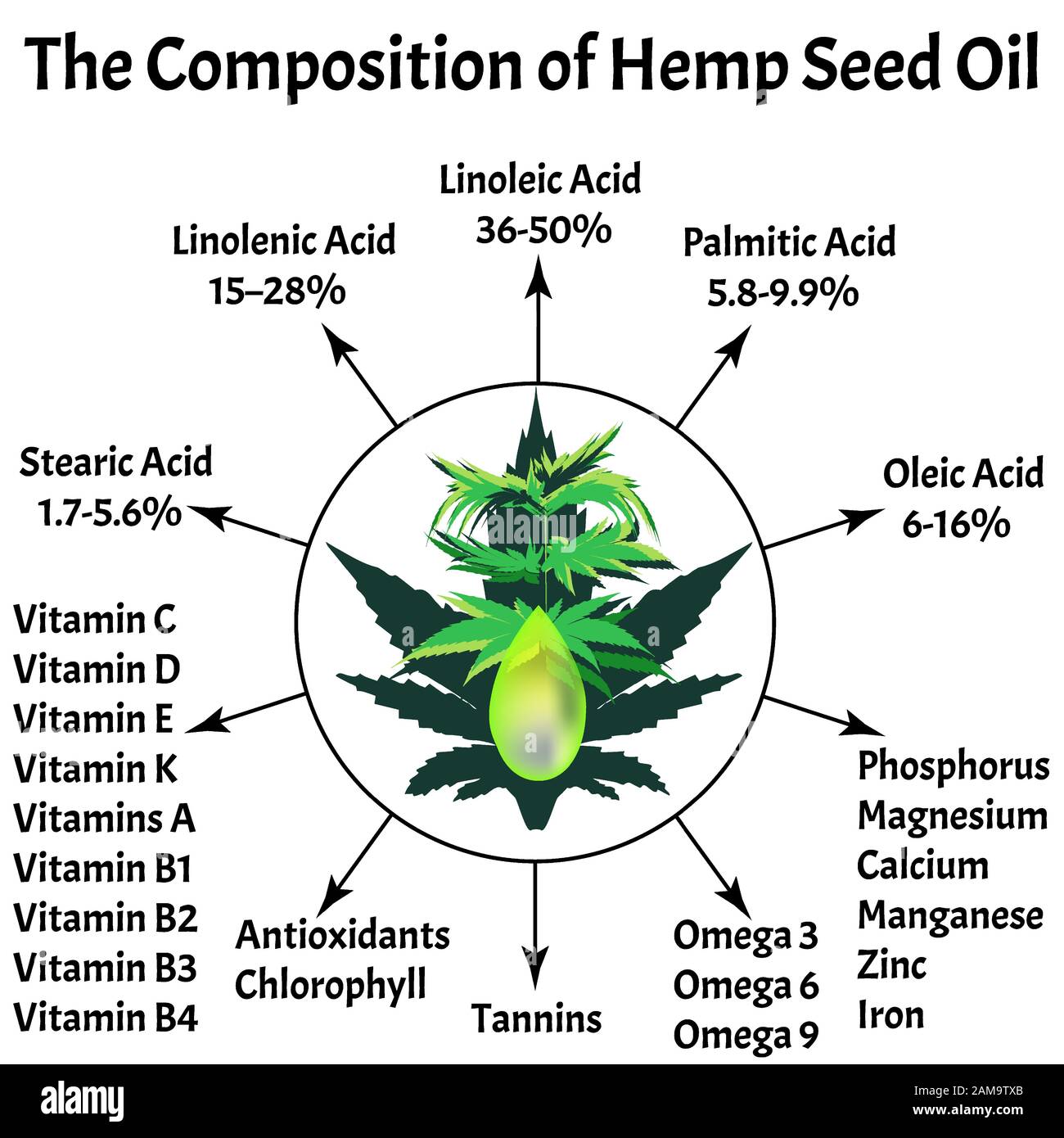 Composition of marijuana oil. Hemp oil. Essential fatty amino acids