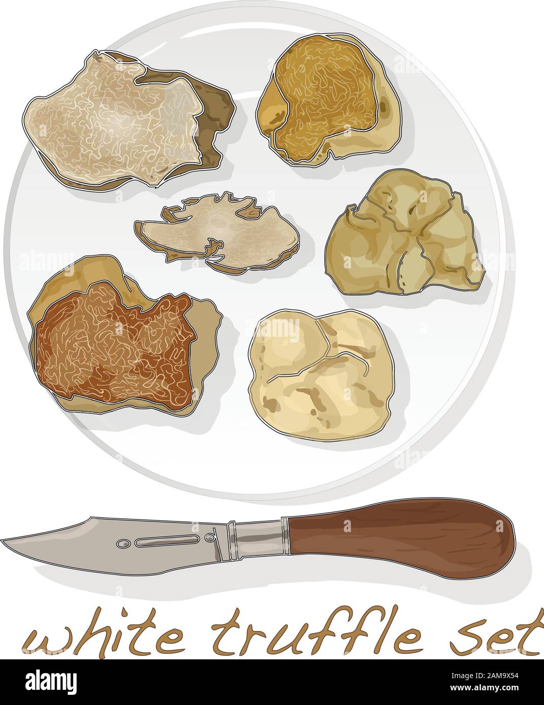 Truffle Vector Truffles vector vectors hi-res stock photography and images - Alamy