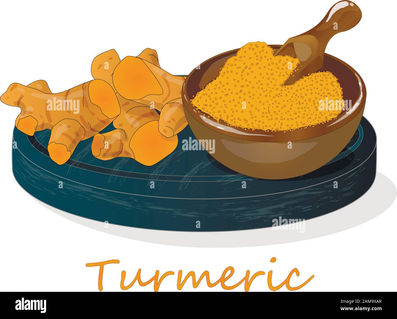 Turmeric (Curcuma longa Linn) set on plate. White background vector illustration. Stock Vector