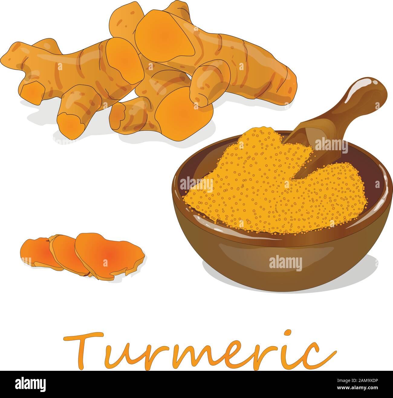 Raw turmeric Stock Vector Images Alamy