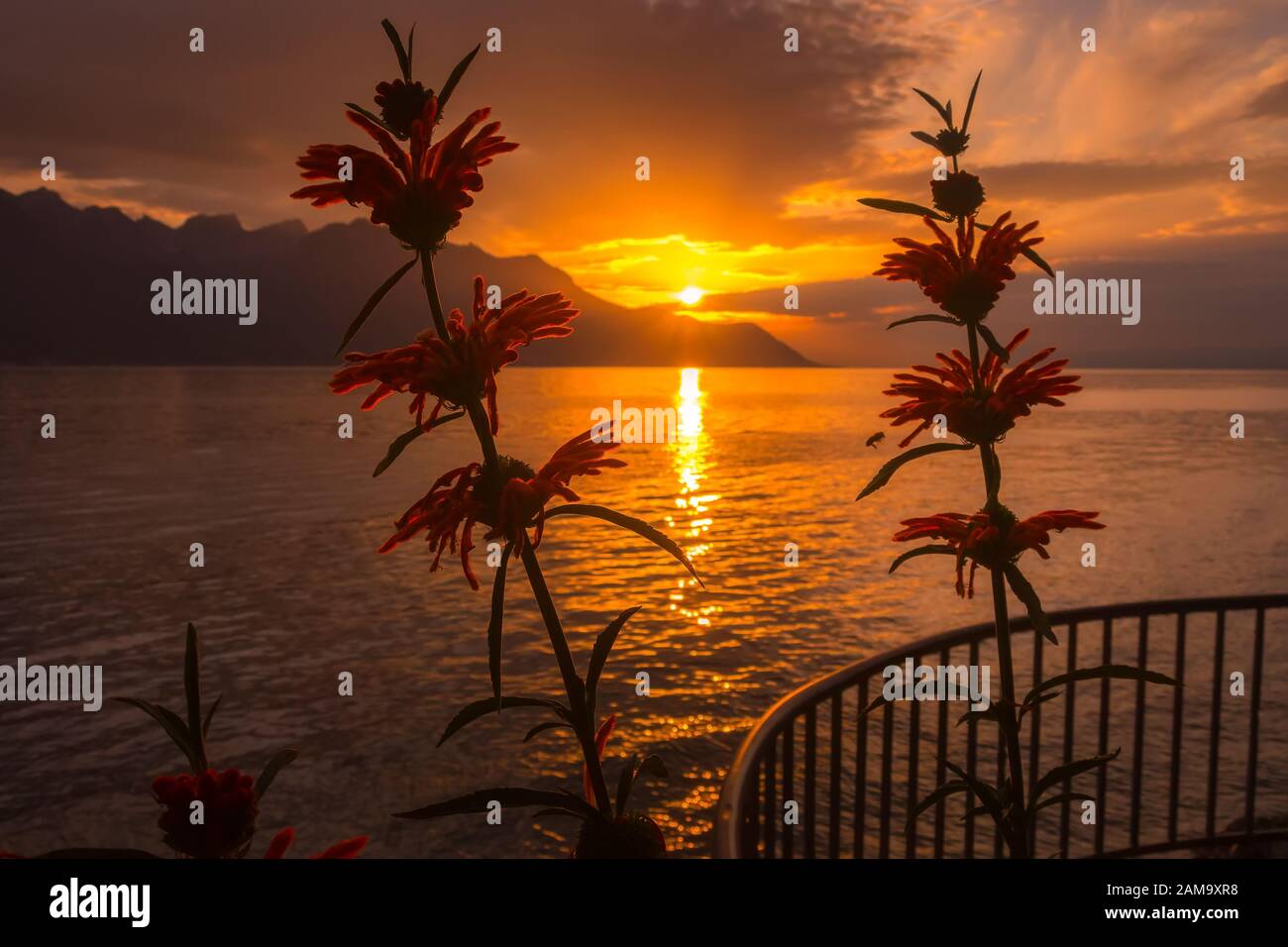 Panoramic view of Lake Geneva, Switzerland with red colorful flowers from Montreux promenade