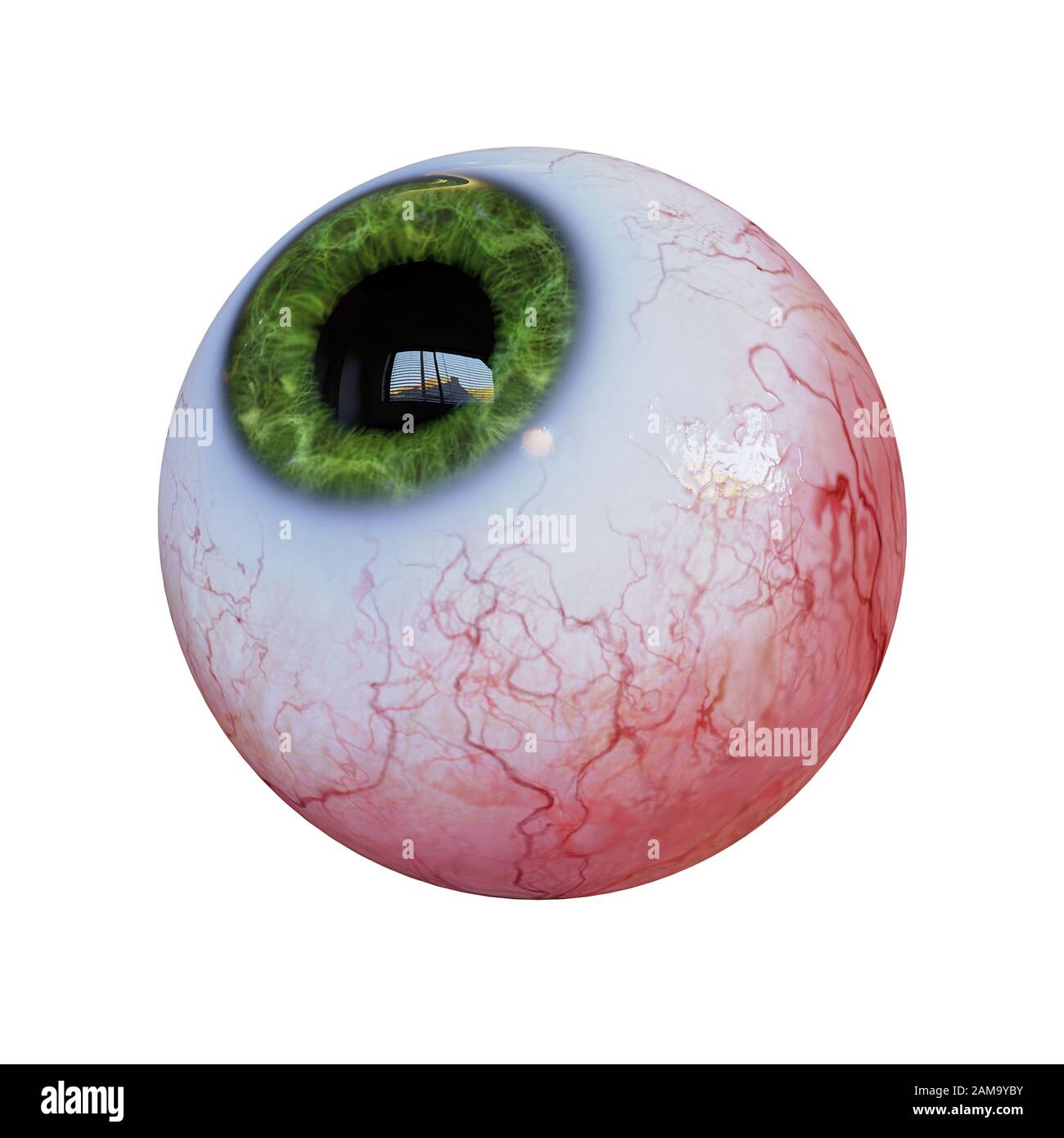 Eyeball hi-res stock photography and images - Alamy