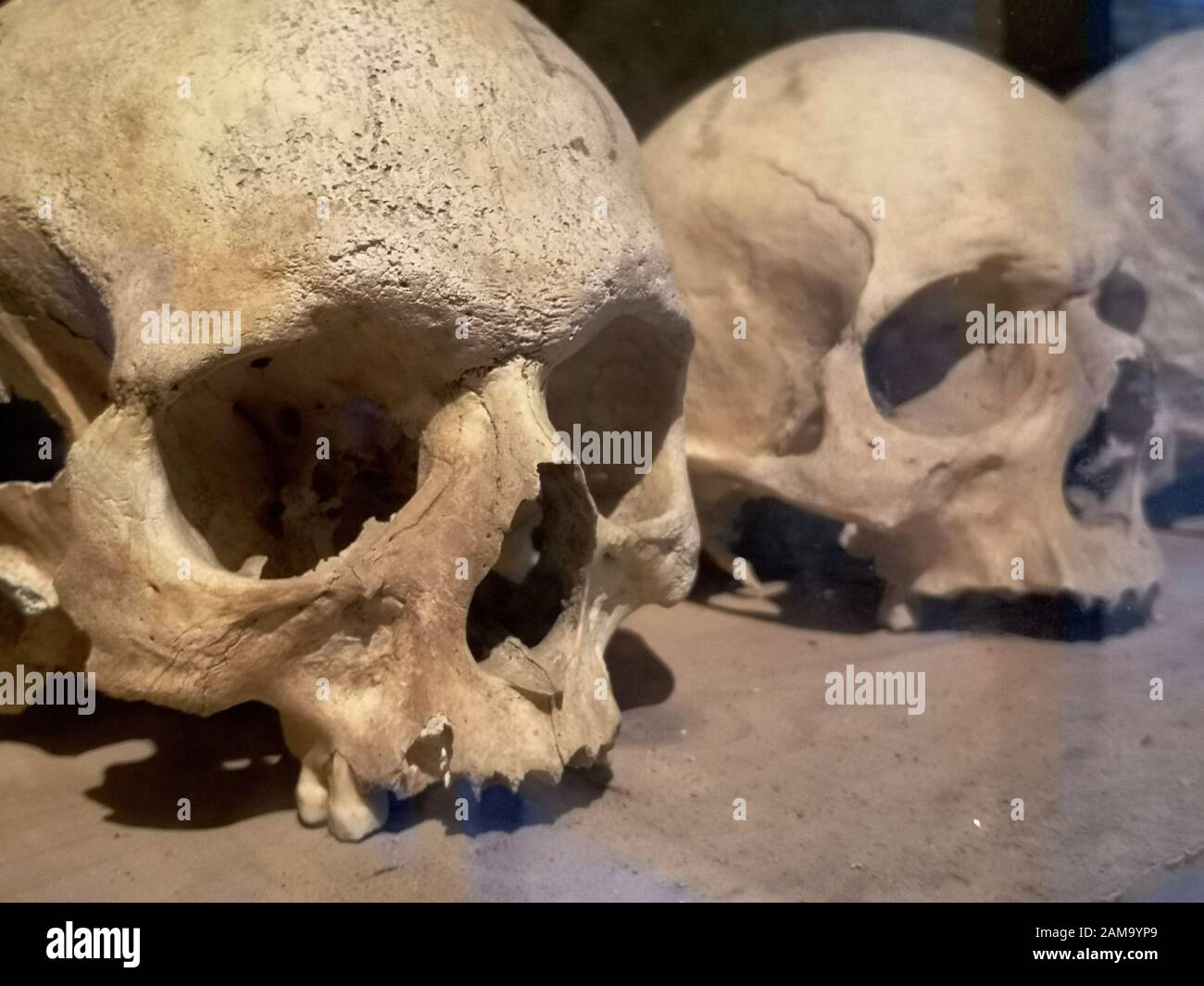Human Skulls in Pompeji Stock Photo