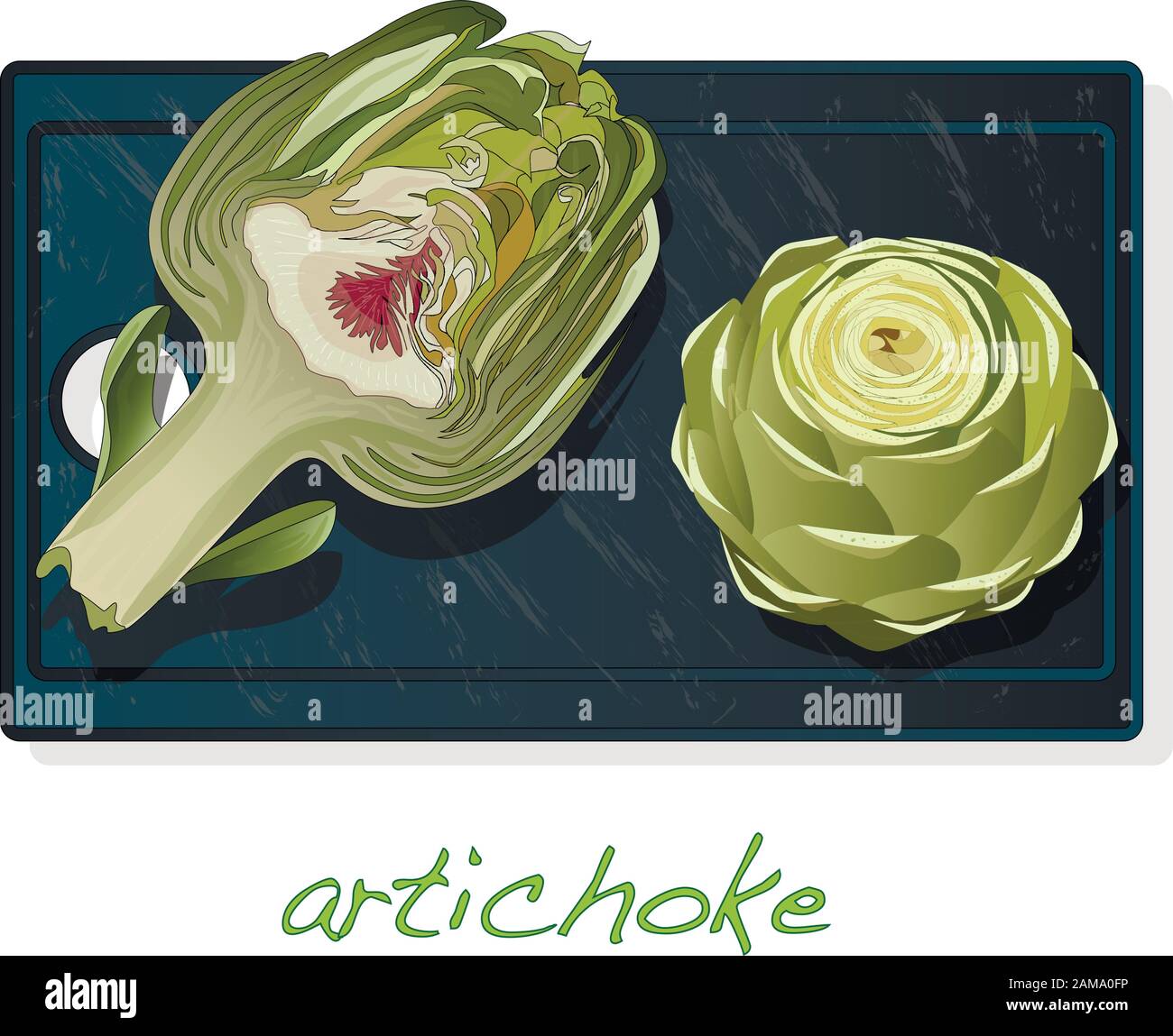 Artichoke on plate vector illustration set. Image isolated on white background. Stock Vector