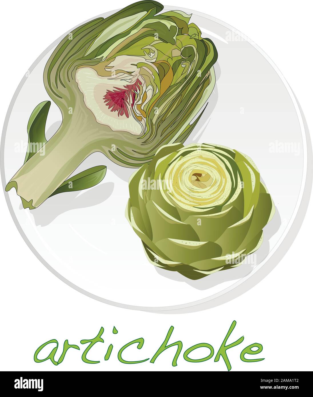 Artichoke on plate vector illustration set. Image isolated on white background. Stock Vector