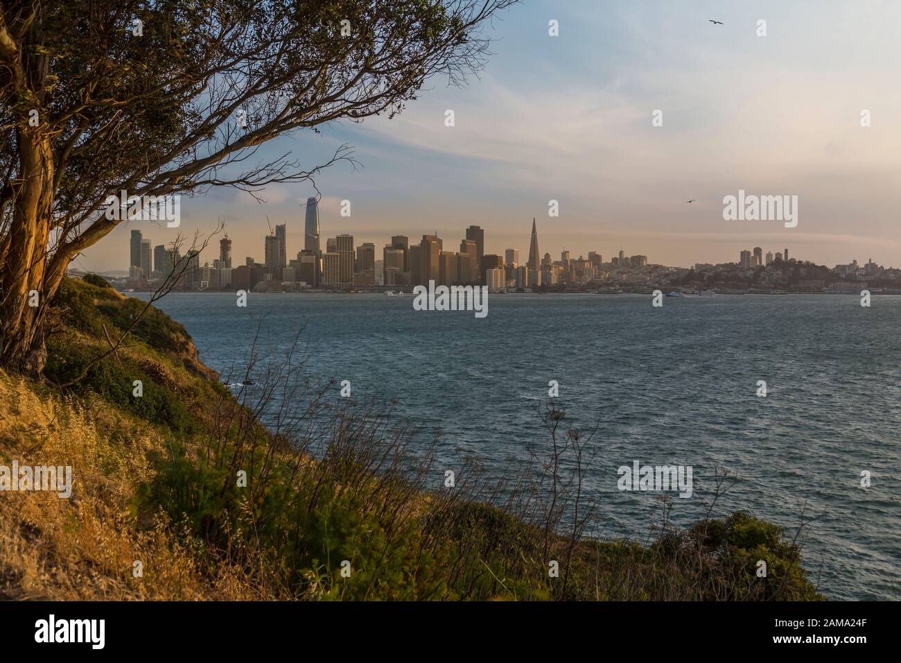 View of San Francisco skyline from Berkeley at sunset, San Francisco, California, USA, North America Stock Photo