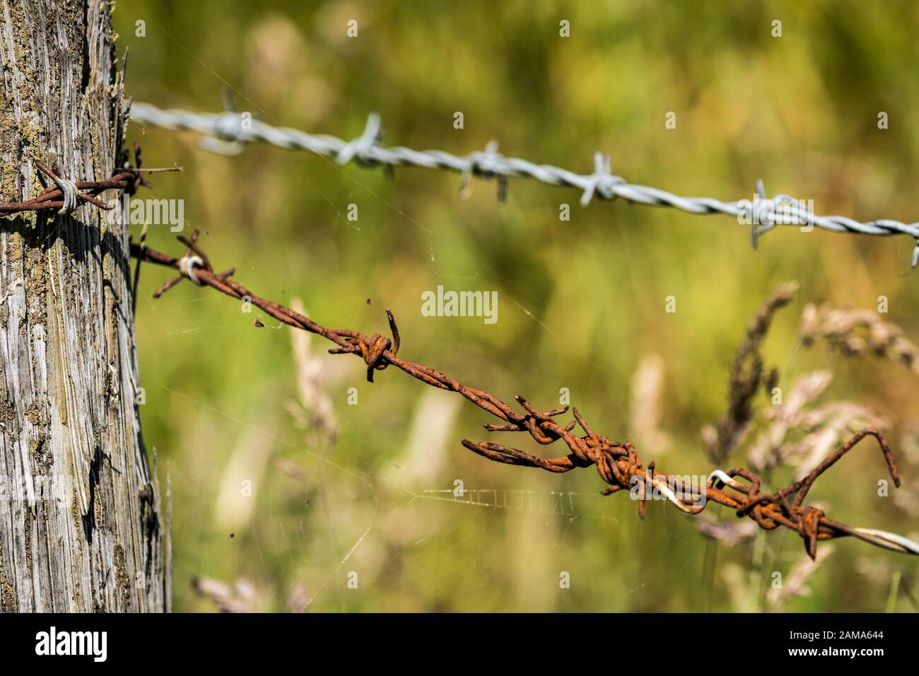 Barbed Wire Fence Stock Photo