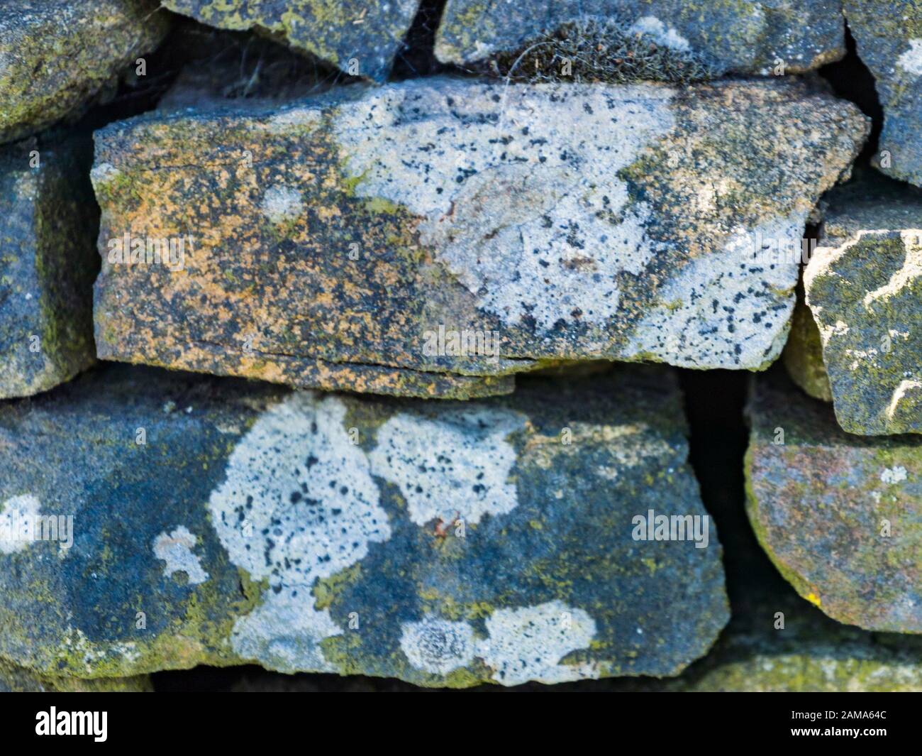 Crustose lichen on a Dry Stone Wall Stock Photo