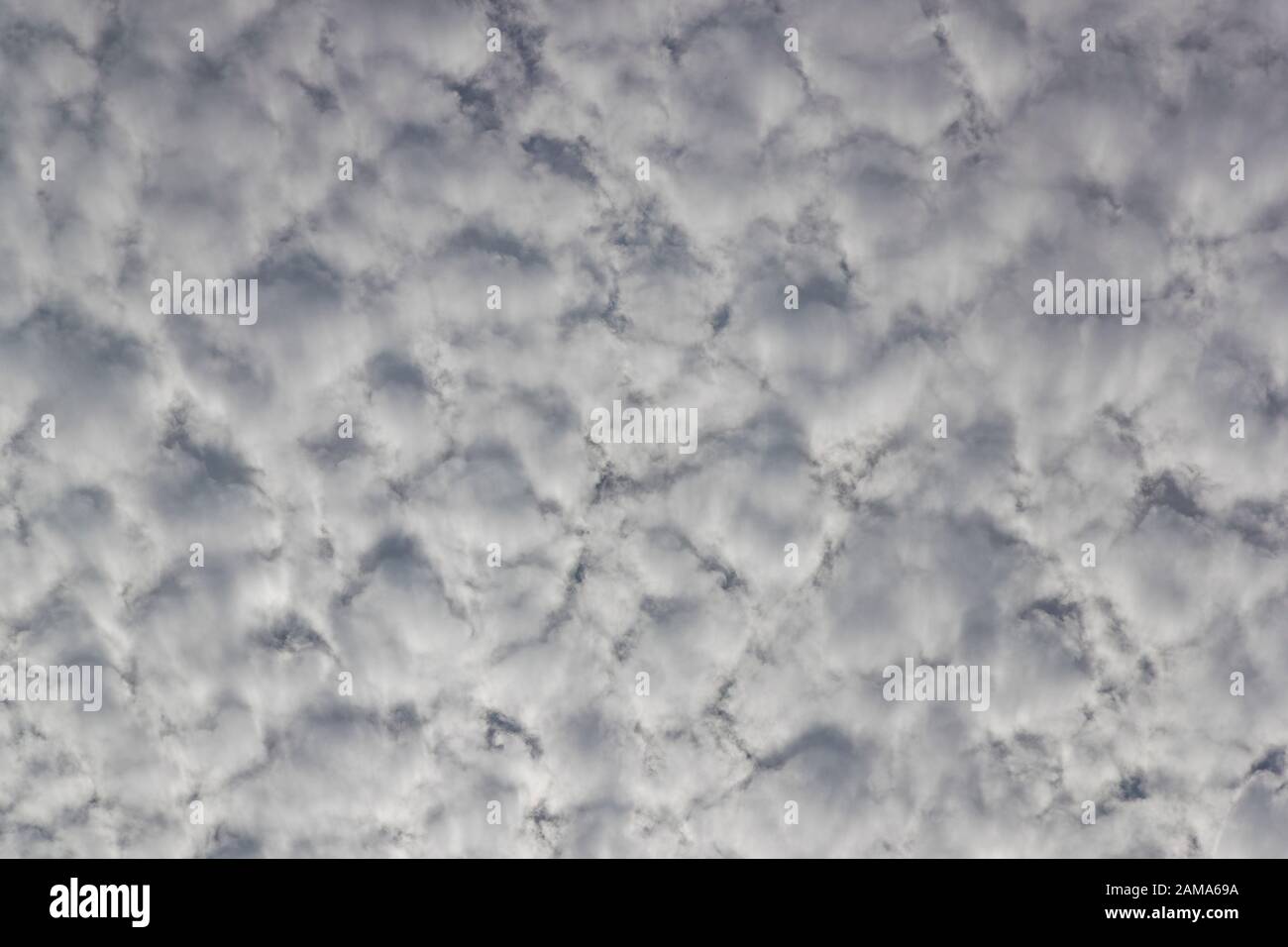 Altocumulus Clouds Stock Photo
